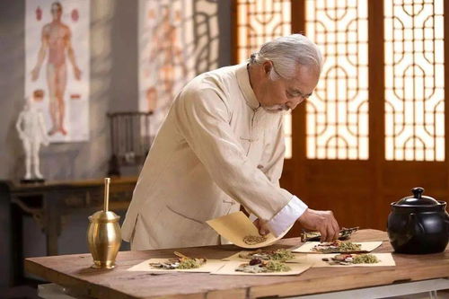 技能點亮生活，政府補貼培訓開啟插花、咖啡、美容與養生新篇章